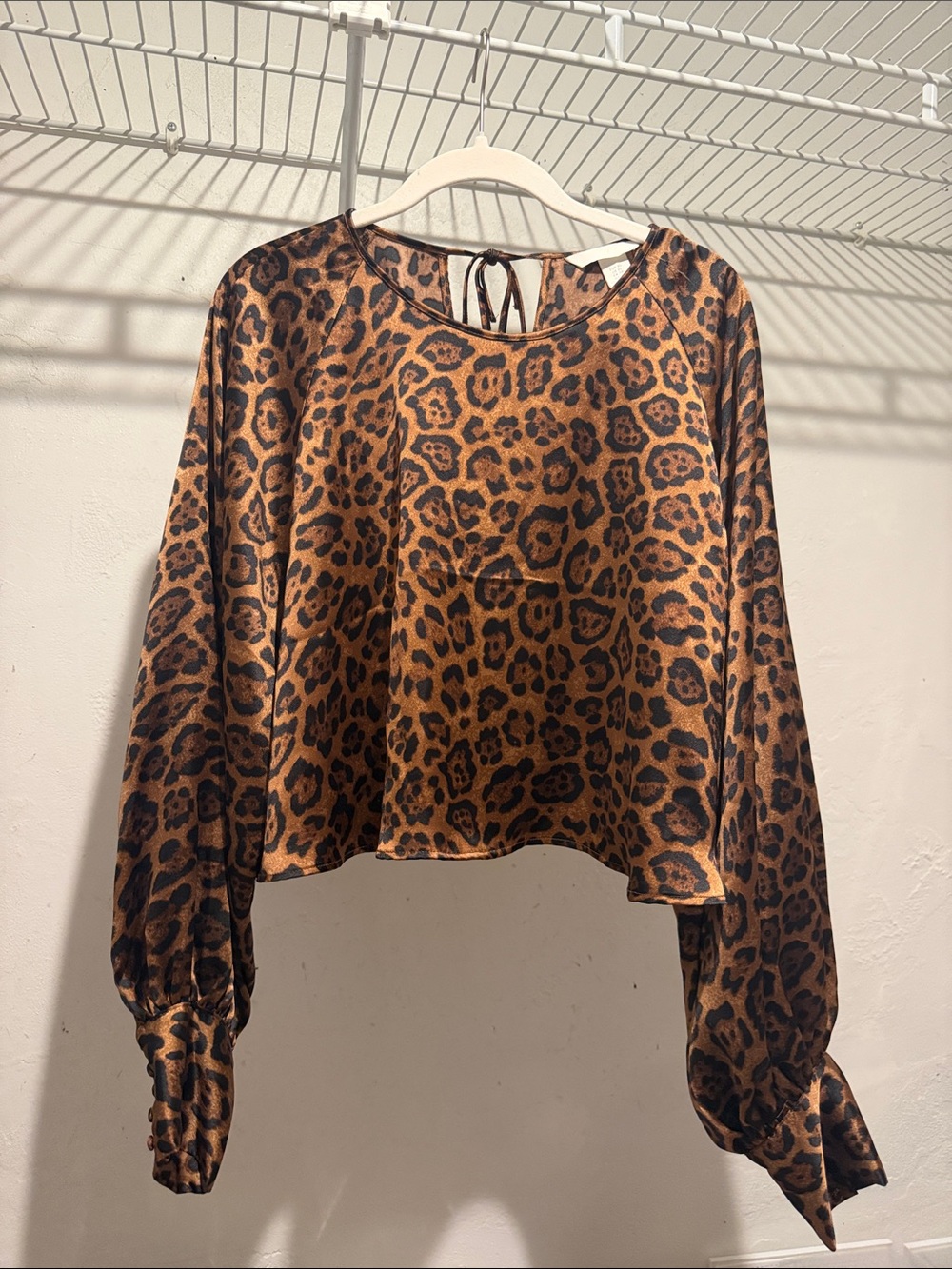 H&M Leopard-Print Long Balloon Sleeve Blouse - Brown/Black
